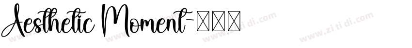 Aesthetic Moment字体转换